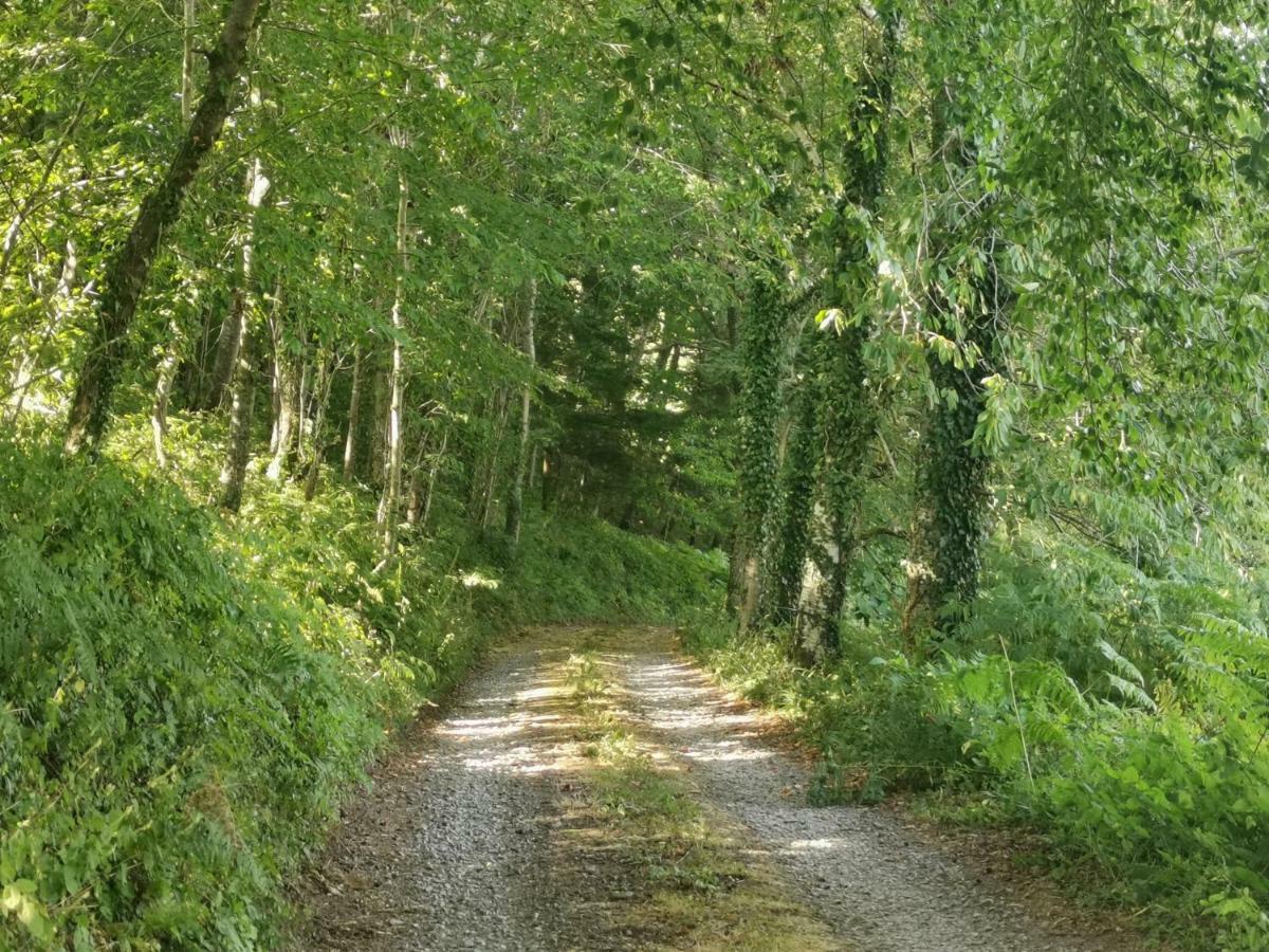 Domaine Lvd Avec Spa, Bois Et Riviere Privee La Bloutiere المظهر الخارجي الصورة