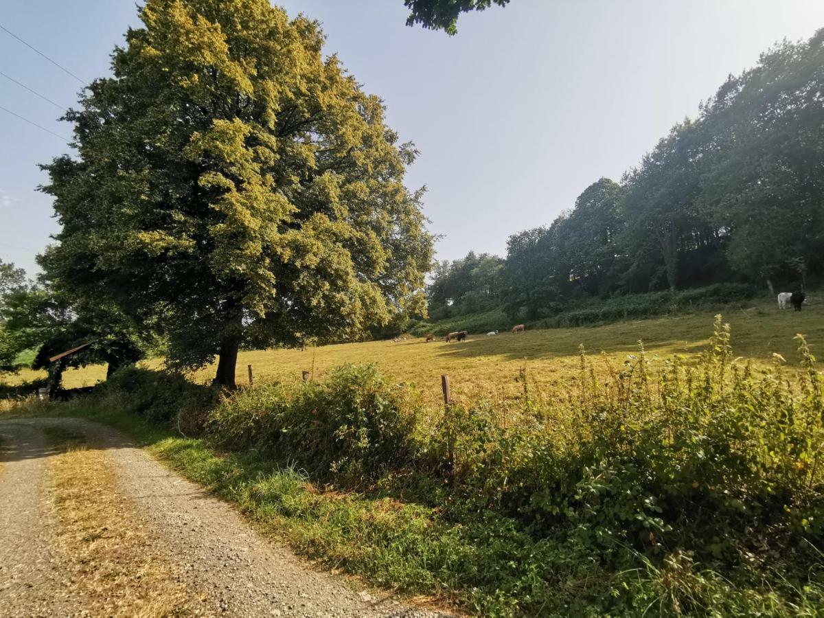 Domaine Lvd Avec Spa, Bois Et Riviere Privee La Bloutiere المظهر الخارجي الصورة