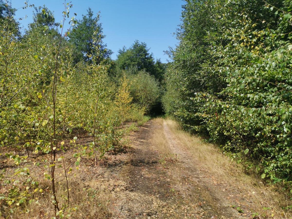 Domaine Lvd Avec Spa, Bois Et Riviere Privee La Bloutiere المظهر الخارجي الصورة