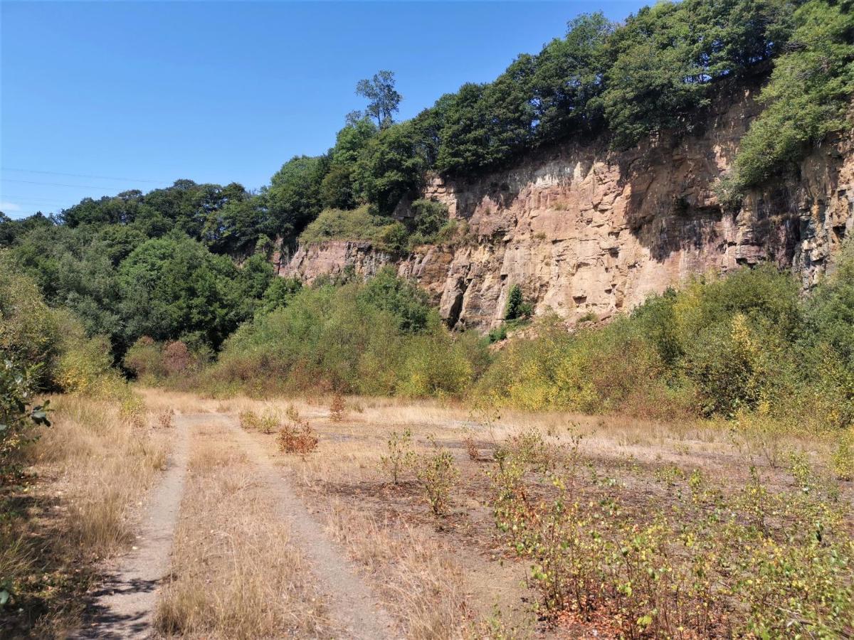 Domaine Lvd Avec Spa, Bois Et Riviere Privee La Bloutiere المظهر الخارجي الصورة
