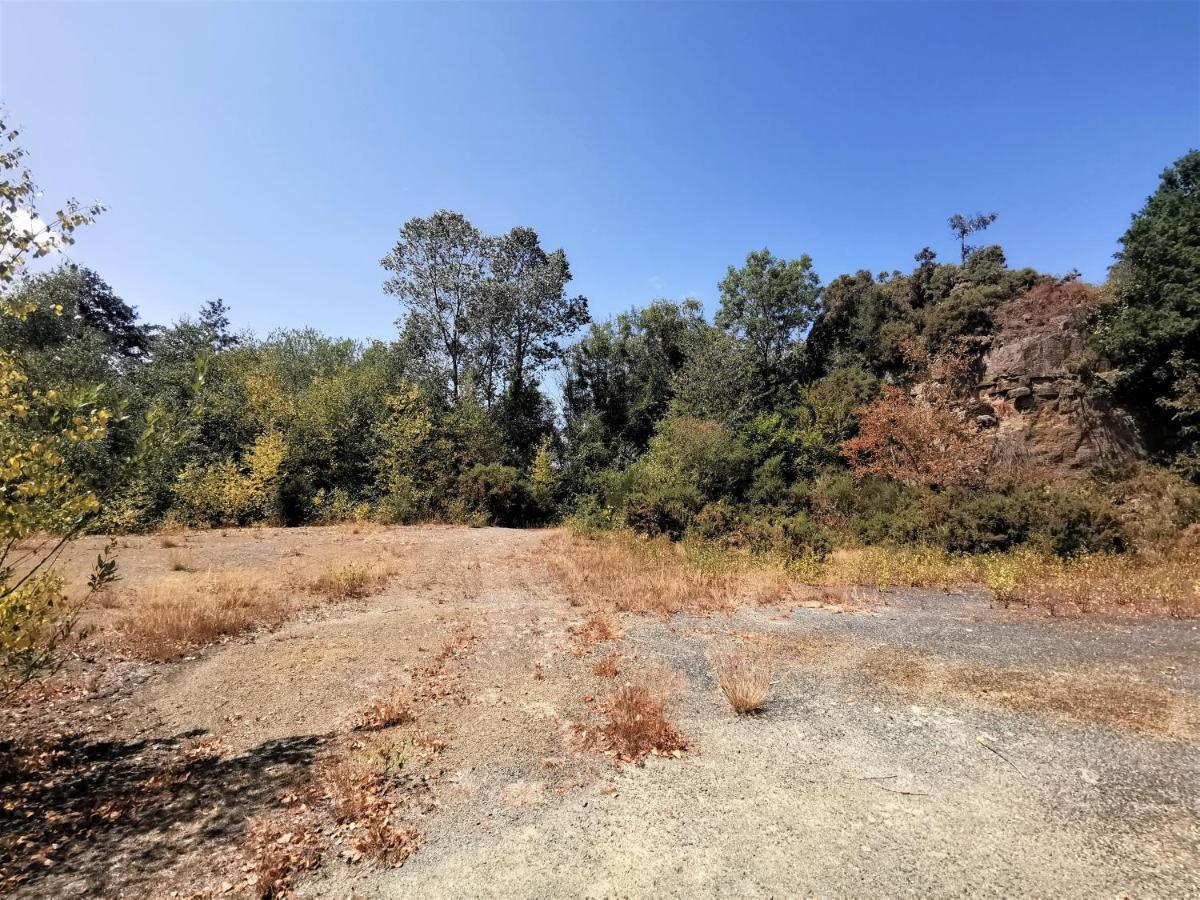 Domaine Lvd Avec Spa, Bois Et Riviere Privee La Bloutiere المظهر الخارجي الصورة