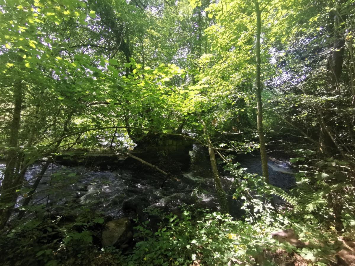 Domaine Lvd Avec Spa, Bois Et Riviere Privee La Bloutiere المظهر الخارجي الصورة